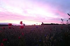 Swinemünde bei Sonnenuntergang